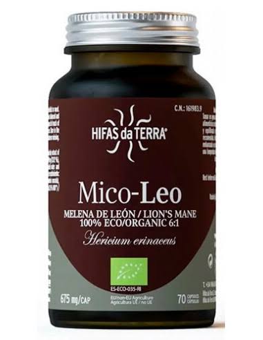 mico-leo hifas da terra
