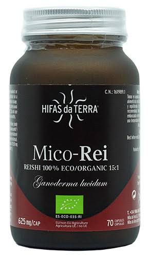 mico-rei hifas da terra