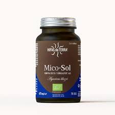 micosol hifas da terra